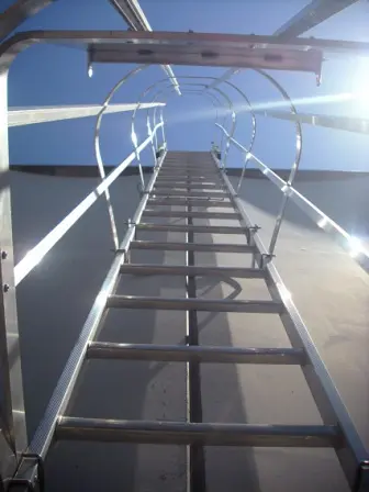 Scala verticale fissa con gabbia per accesso industriale